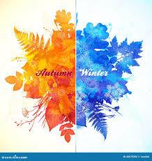 Fall & Winter 25-26